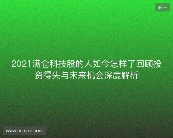 2021满仓科技股的人如今怎样了回顾投资得失与未来机会深度解析