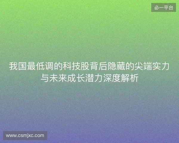 我国最低调的科技股背后隐藏的尖端实力与未来成长潜力深度解析