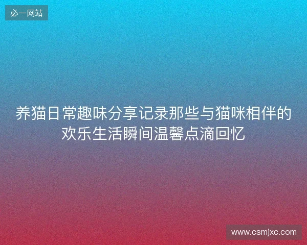 养猫日常趣味分享记录那些与猫咪相伴的欢乐生活瞬间温馨点滴回忆 养猫日常趣味分享记录那些与猫咪相伴的欢乐生活瞬间温馨点滴回忆